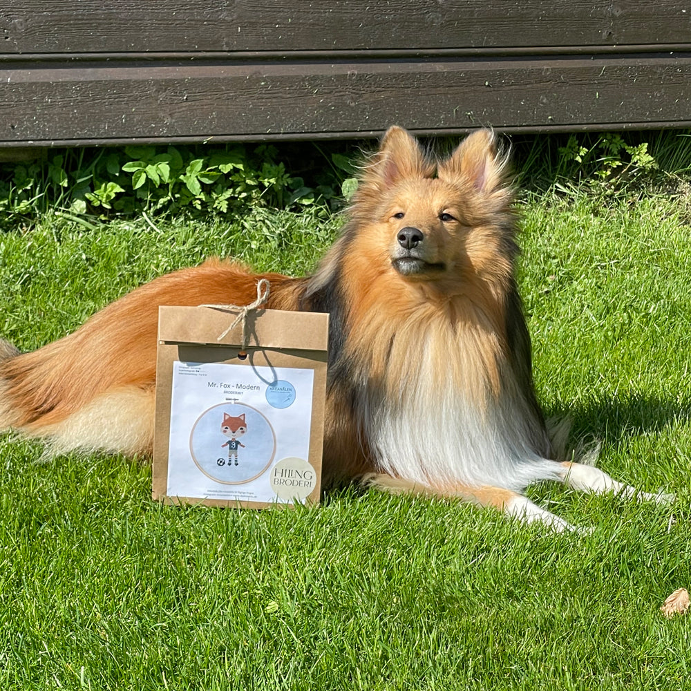 Hunden Finn og Mr Fox broderisett