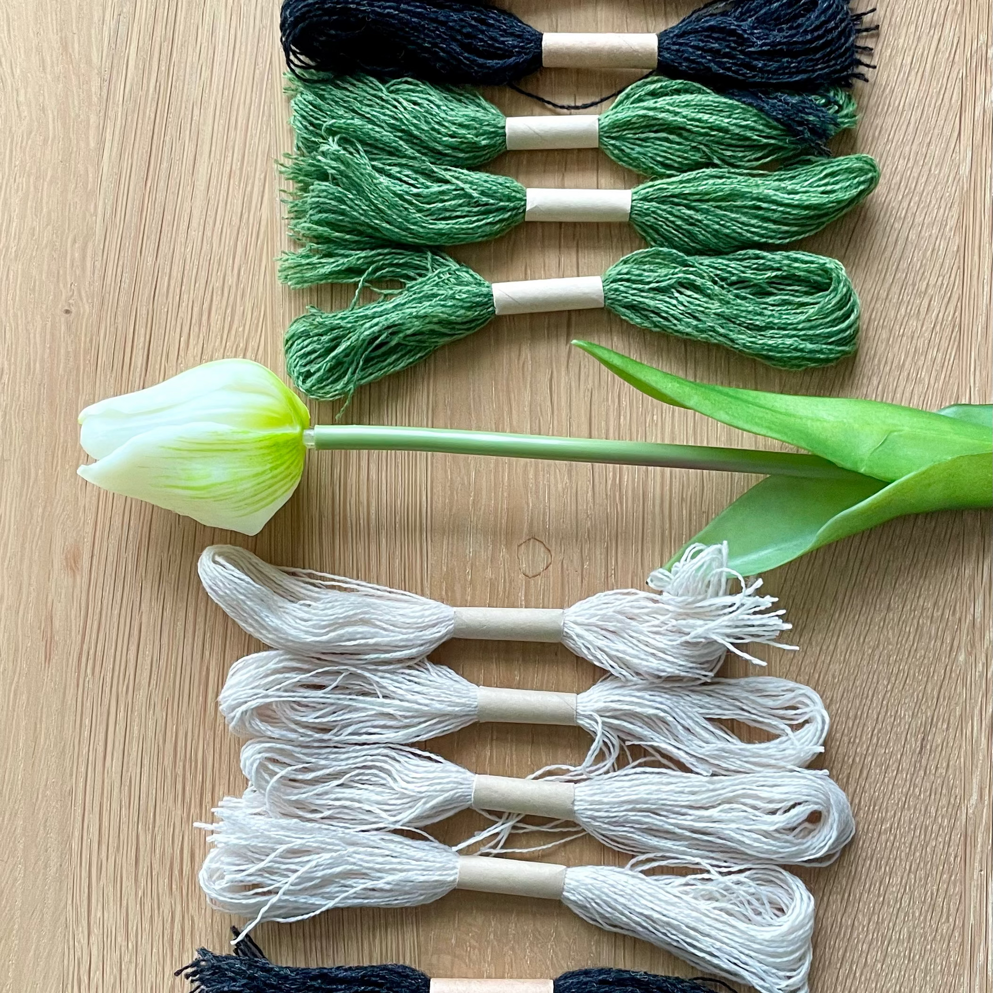 Bilde av farger i Jardin sammen med en hvit tulipan