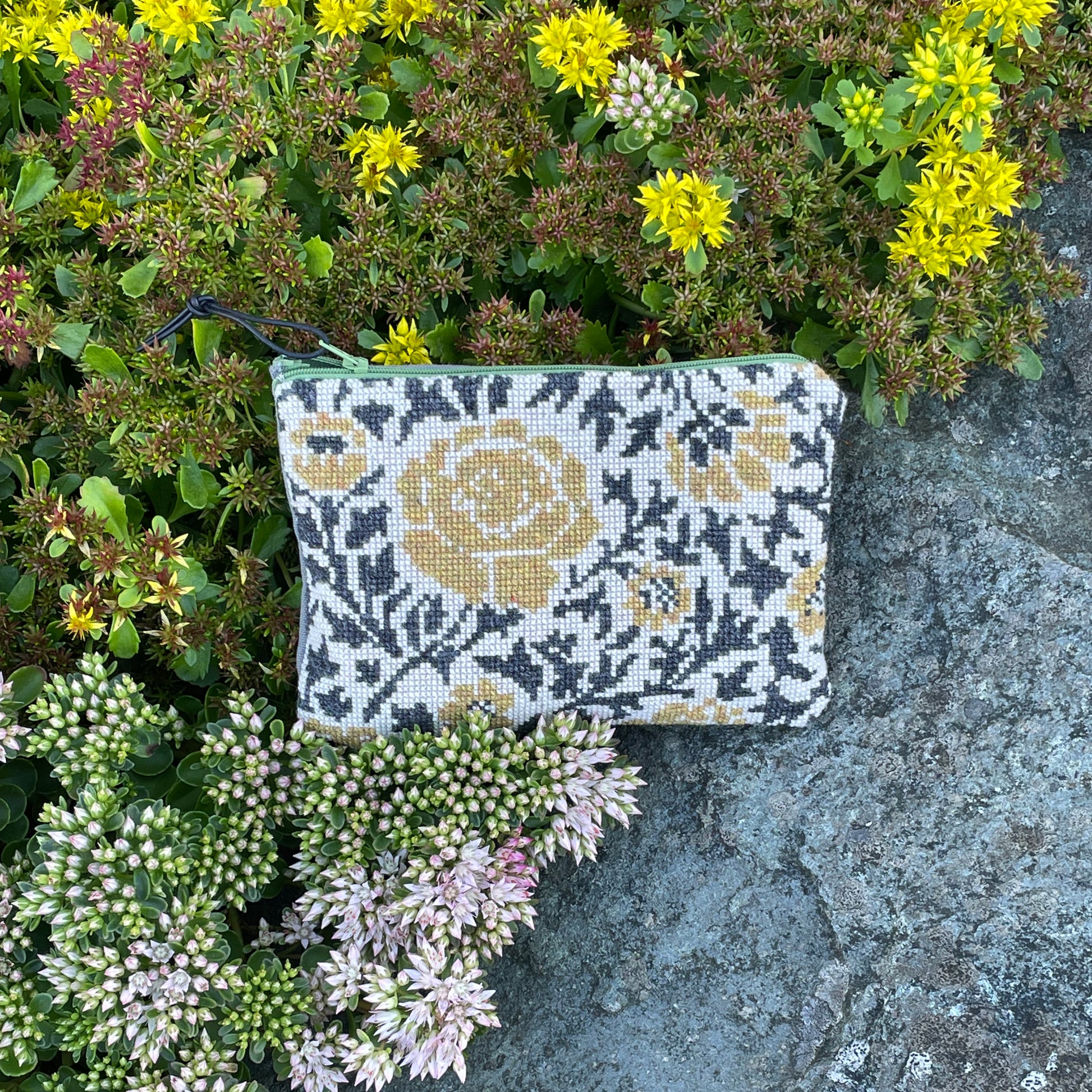 vildrose clutch på et berg med sukkulenter i bakgrunnen